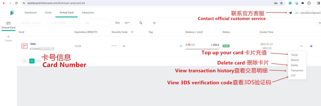 View the virtual credit cards that have been created